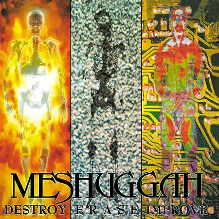 Meshuggah + Destroy Erase Improve + Album
