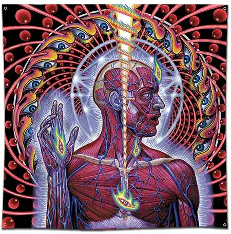 Tool + Lateralus + Album